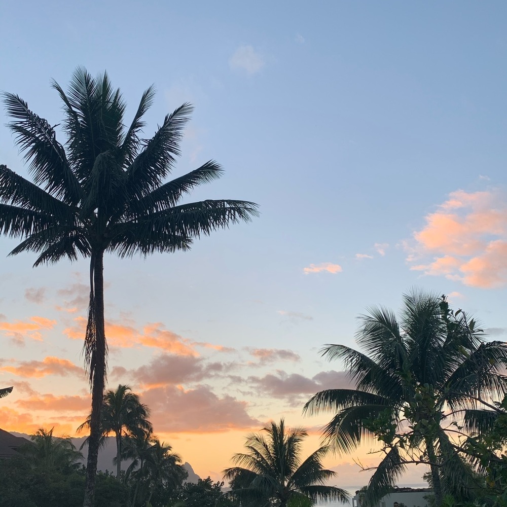 Now Selling! -Amelia♡